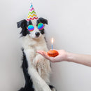 Gafas De Sol Para Perros Mascotas