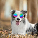Gafas De Sol Para Perros Mascotas