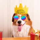 Gafas De Sol Para Perros Mascotas