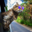 Gafas De Sol Para Perros Mascotas