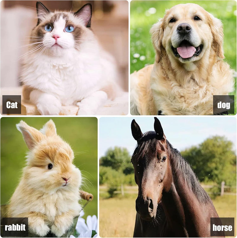 Cepillo para perros y gatos💜